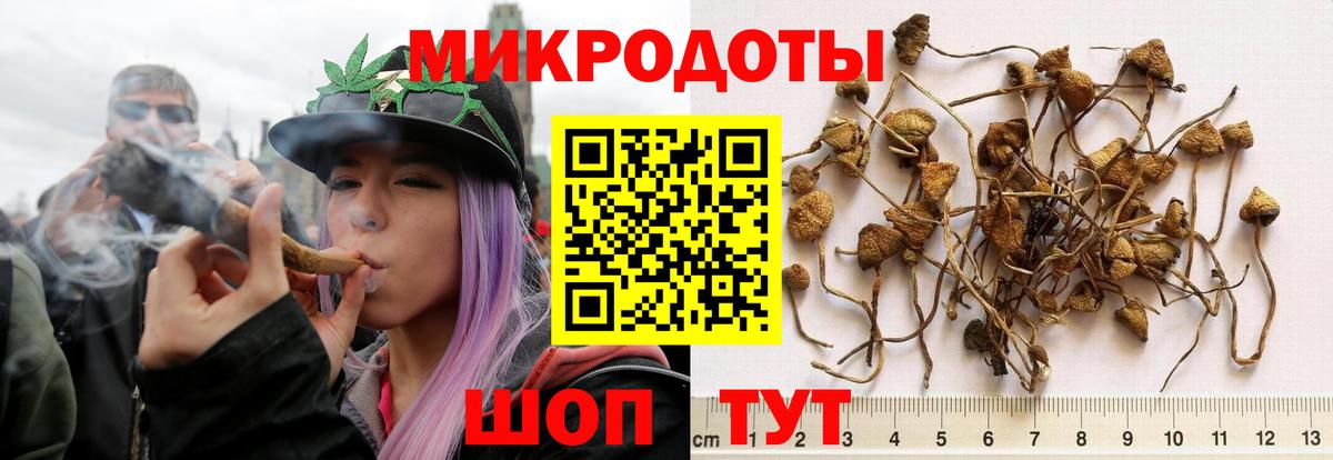 Галлюциногенные грибы Magic Shrooms Орехово-Зуево